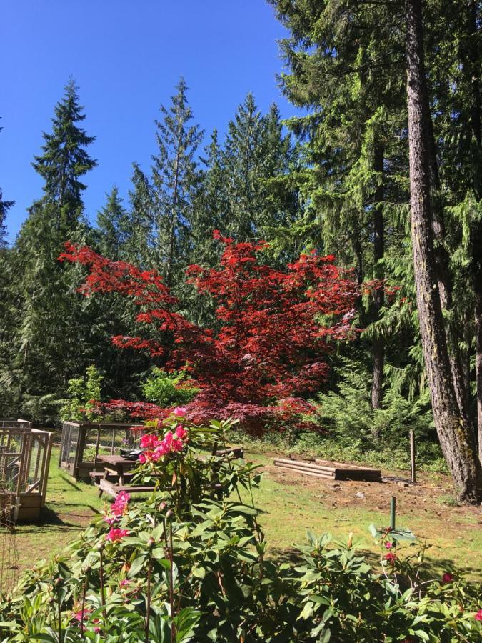 Cedar Song B&B パークスビル エクステリア 写真