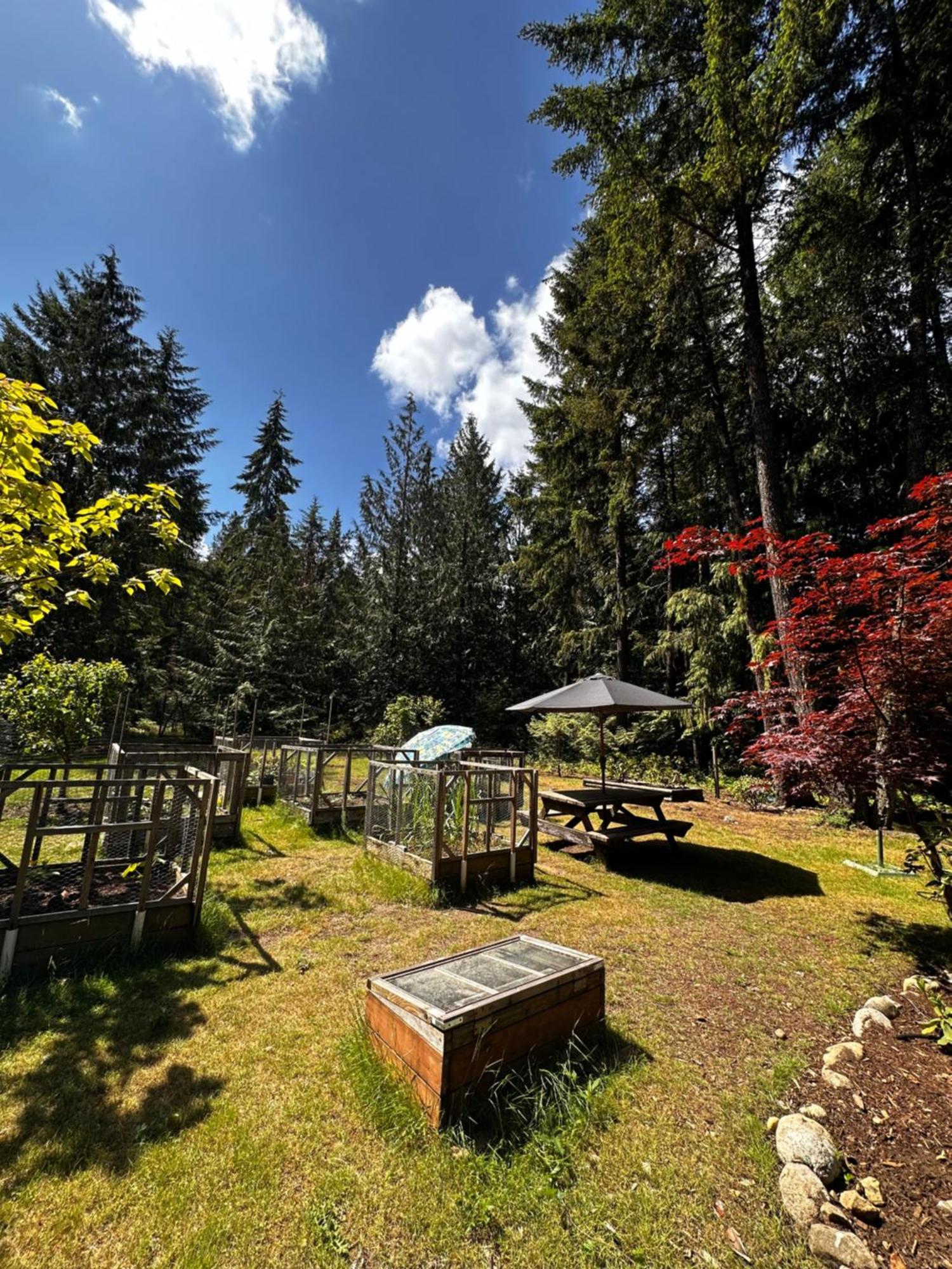 Cedar Song B&B パークスビル エクステリア 写真